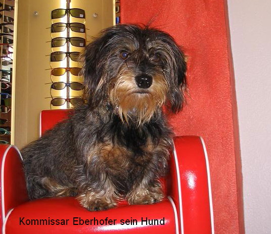 Dem Kommissar Eberhofer sein Hund.jpg