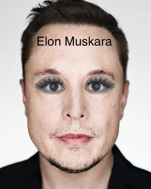 elon-muskara.jpg