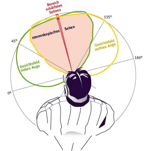 gesichtsfeldschema.jpg