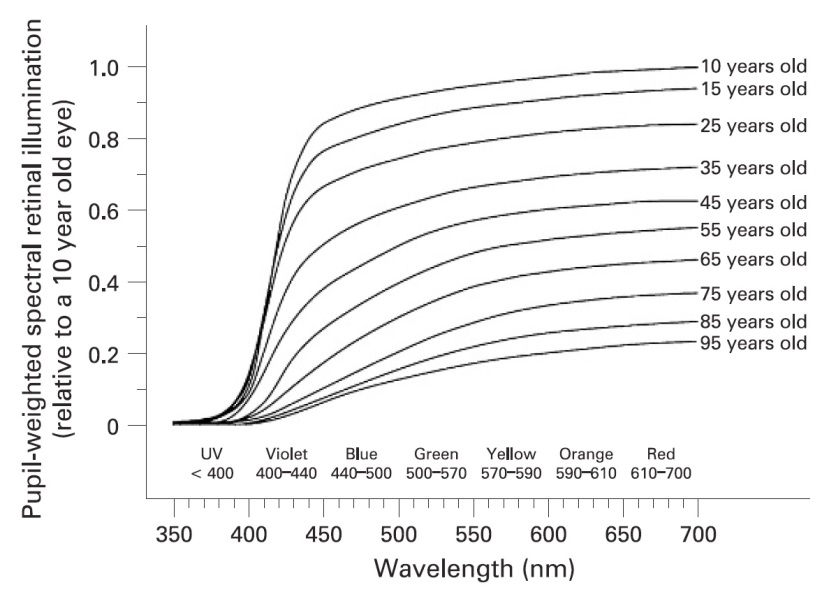 Human-eye-lens-spectral-transmittance-Source-Turner-et-al-2008-As-noted-by-Turner.jpg