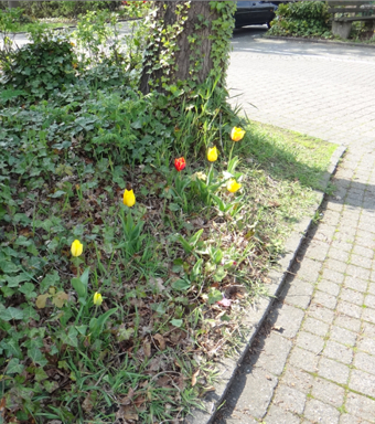 DSC00958_net.jpg